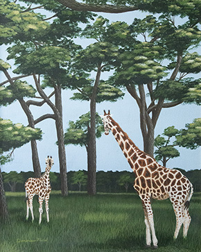 Girafes dans la savane